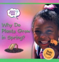 Why Do Plants Grow In Spring? [Kelas 1-2-3]