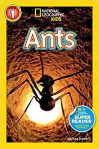 National Geographic Kids Ant [ kelas4-5-6 ]