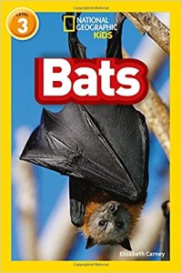 National Geographic Kids Bats [ kelas4-5-6 ]