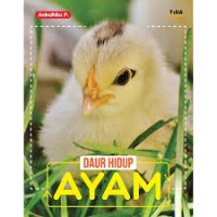 Daur Hidup Ayam [kelas 1-2-3]