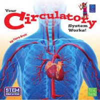 Your Circulatory System Works![kelas 4-5-6]