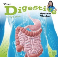 Your Digestive System Works! [kelas 4-5-6]