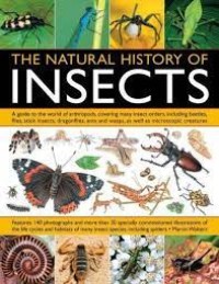 The Natural History of Insects