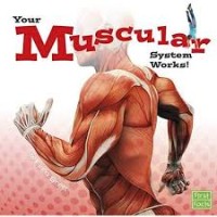 Your Muscular System Works![kelas 4-5-6]