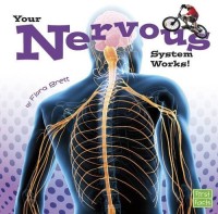 Your Nervous System Works![kelas 4-5-6]