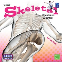 Your Skeletal System Works![kelas 4-5-6]