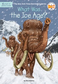 What Was the Ice Age? [ kelas 4-5-6 ]