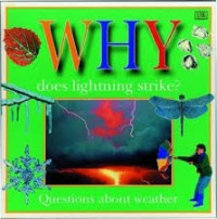 Why Does Lightning Strike? [kelas 4-5-6]